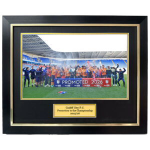 cardiff city trophy lift image