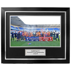 cardiff city trophy lift image