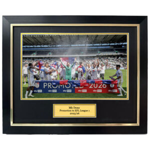 MK Dons promotion image