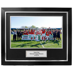 York City trophy lift image